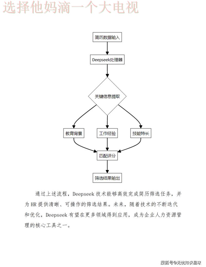 探索贝博手机APP的使用体验与功能分析